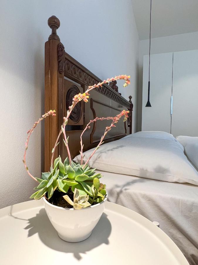 Sant'Antoni Apartments 텐노 외부 사진